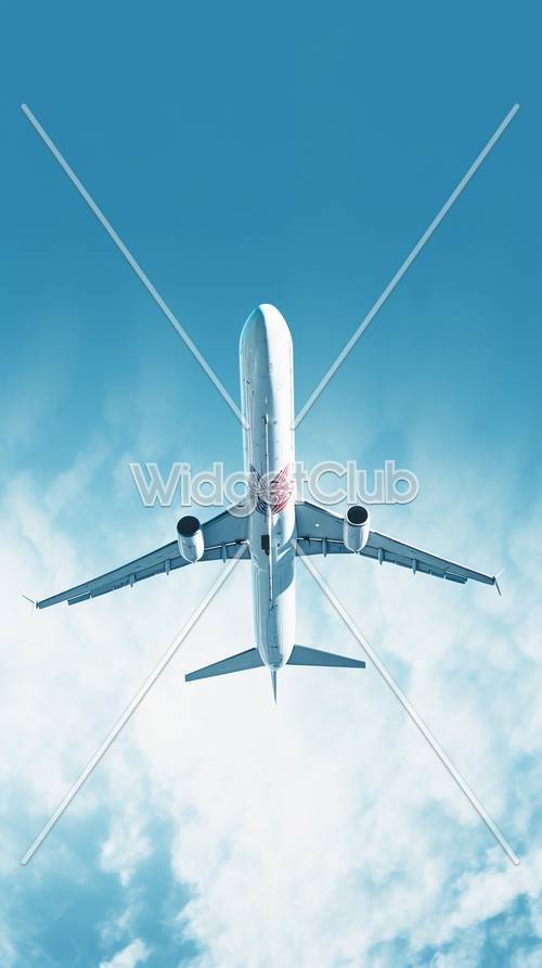 Airplane Wallpaper [8a360f0a22384b958486]