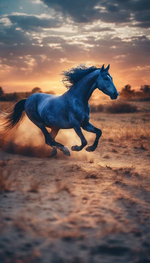 A blue horse galloping against a fiery sunset. Ფონი [ad78fe6310594ff983ed]