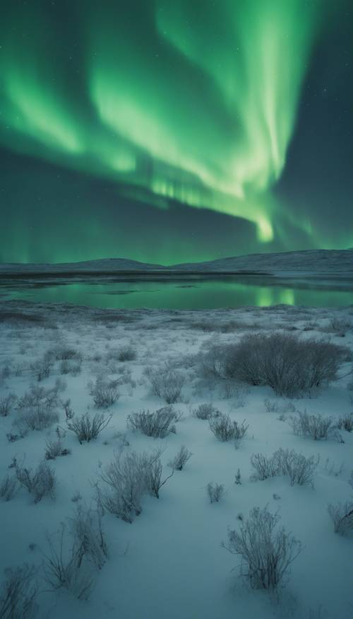 Una escena espeluznante y luminiscente de la aurora boreal que proyecta tonos verde oscuro a través de una tundra desolada, salpicada de escarcha.