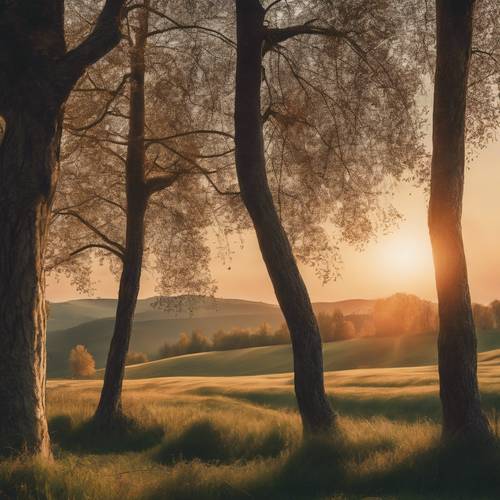 Eine ruhige Sonnenuntergangsszene in einer im Jugendstil dargestellten Landschaft mit stilisierten Hügeln und hoch aufragenden Pappeln.