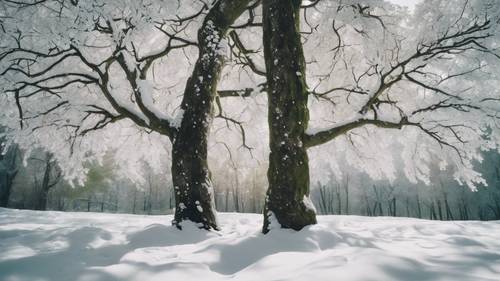 Une image d&#39;un arbre aux feuilles vertes luxuriantes recouvertes de neige, avec une citation sur la résilience.