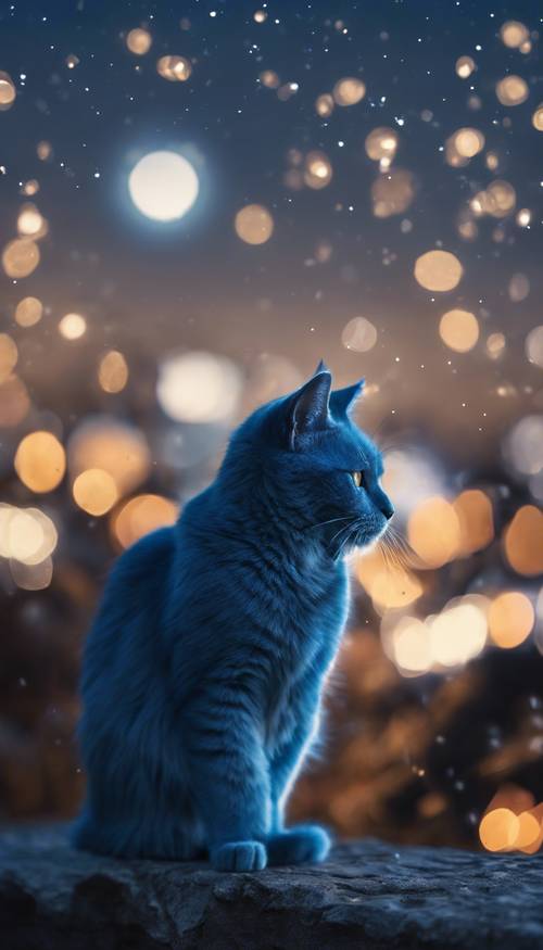 Seekor kucing biru mempesona mengibaskan ekornya di bawah langit tengah malam.