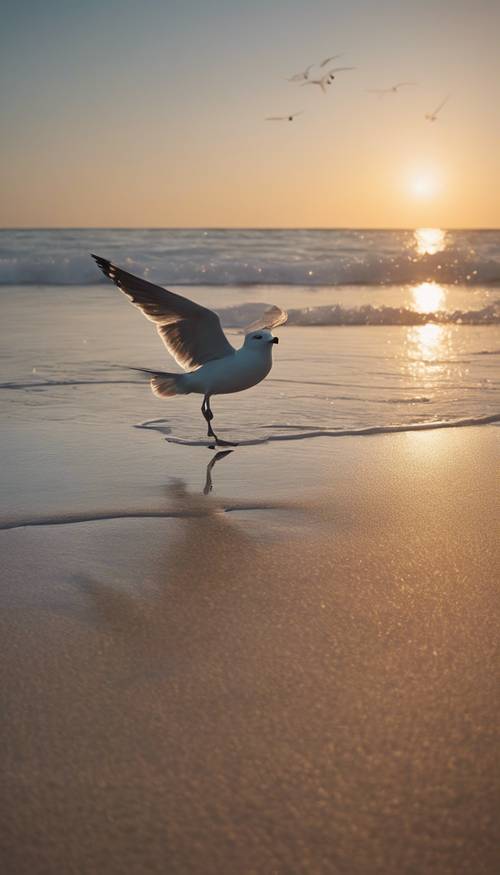 A serene beach at sunrise, empty but for a lone seagull taking flight.