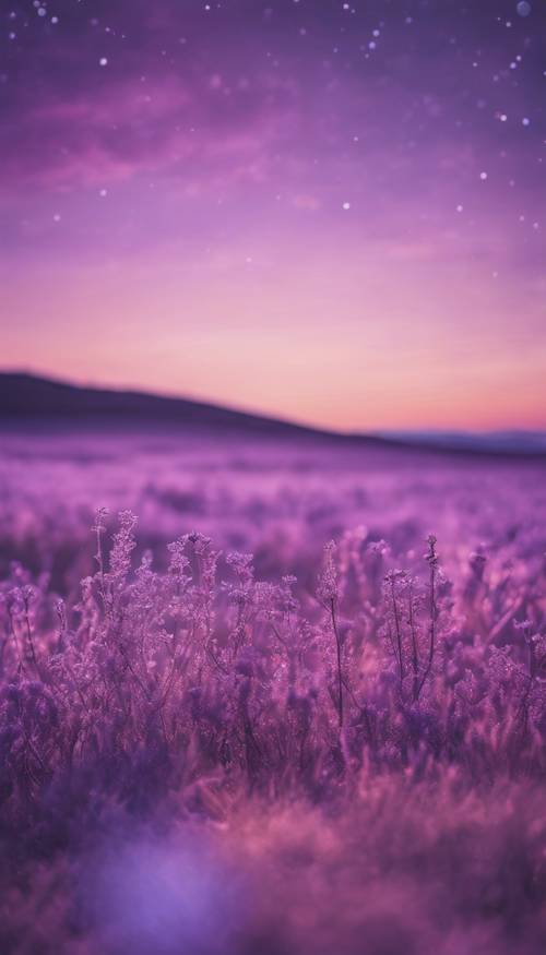 Purple Wallpaper [ff6824a7031b49acbb02]