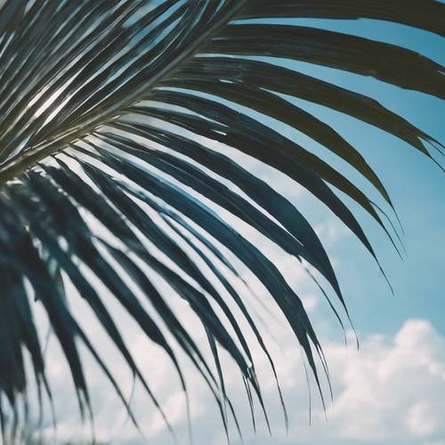 A blue palm leaf gently swaying in the summer breeze.