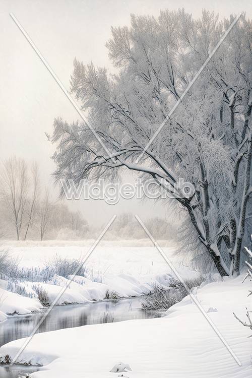 白雪皚皚的冬季仙境場景