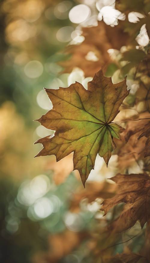 Земляная осенняя атмосфера с многослойными кленовыми листьями в оттенках зеленого и коричневого.