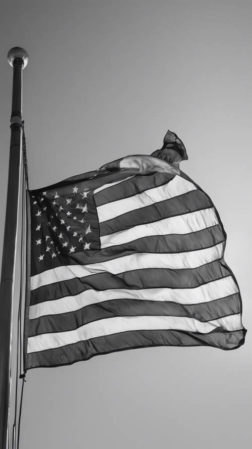 תמונה בגווני אפור של דגל אמריקאי מתנוסס ברוח על רקע שמיים בהירים.