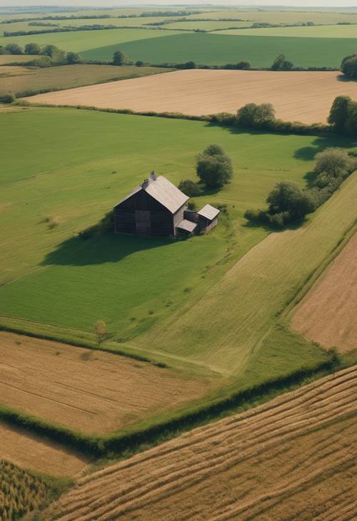 Zdjęcie lotnicze wiejskiego krajobrazu zdominowanego przez trawiaste pola i przerywanego samotną stodołą.