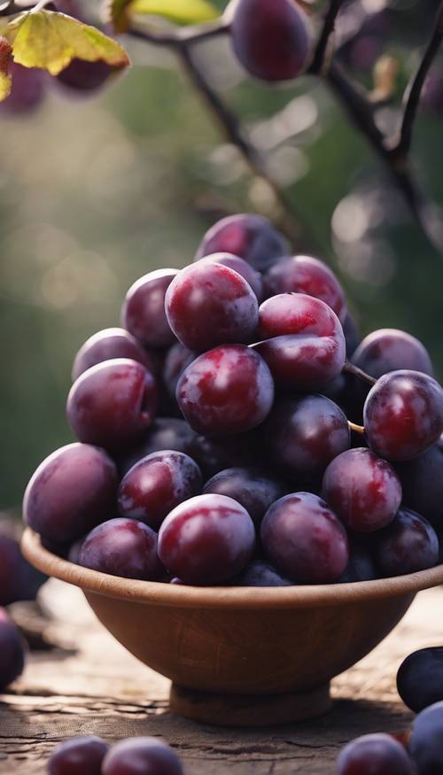 Un bol rempli de prunes mûres à la peau tendue violet foncé, tout juste cueillies sur l’arbre.