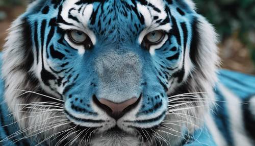 特写镜头拍摄了一只蓝色老虎的脸部，眼睛里充满好奇和敬畏。
