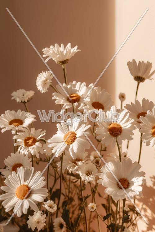 Bunga Daisy Cerah dan Indah di Bawah Sinar Matahari