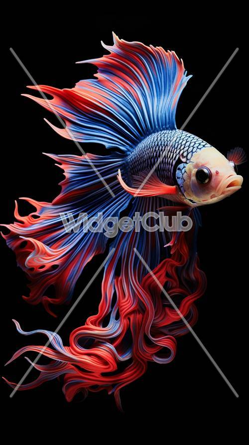 Colorful Betta Fish with Flowing Fins