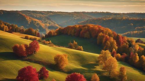 秋の鮮やかな色彩が映える起伏に富んだ丘の風景