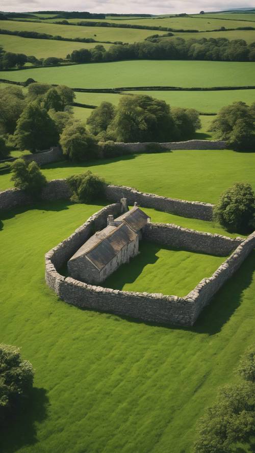 Bujne zielone pola rozdzielone kamiennymi murami na historycznej irlandzkiej farmie.
