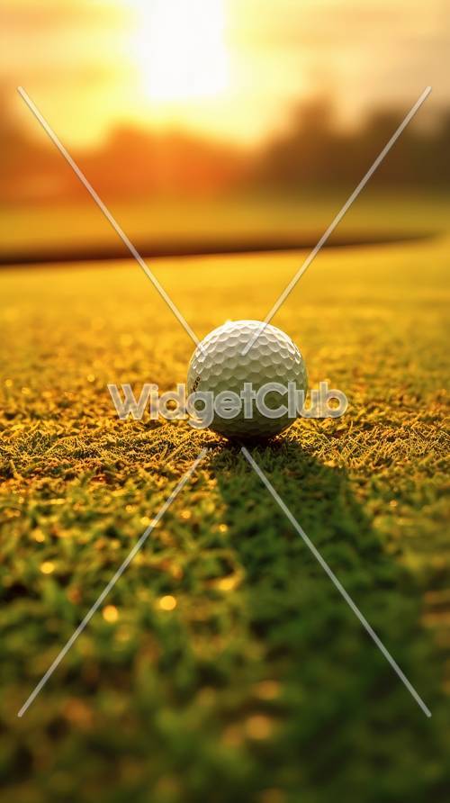 Balle De Golf Au Coucher Du Soleil Sur L&#39;herbe Verte