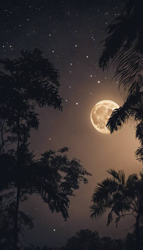 A night time over the Amazon jungle, full moon glowing in the sky with nocturnal creatures buzzing about. Tapet [f773f2c9239a4adc86fb]