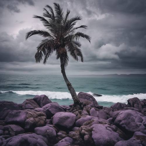荒涼とした島にひときわ目立つ紫のヤシの木が写る壁紙　暗い灰色の嵐の空の下、遠く海にそびえ立つ