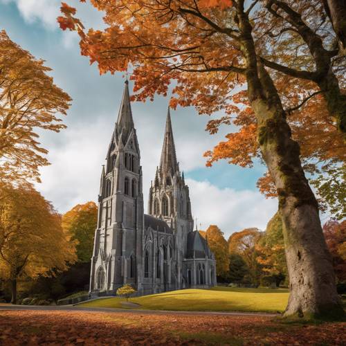 A tranquil scene of Saint Fin Barre's Cathedral in Cork, with the spire rising amidst the maples in autumn colours.