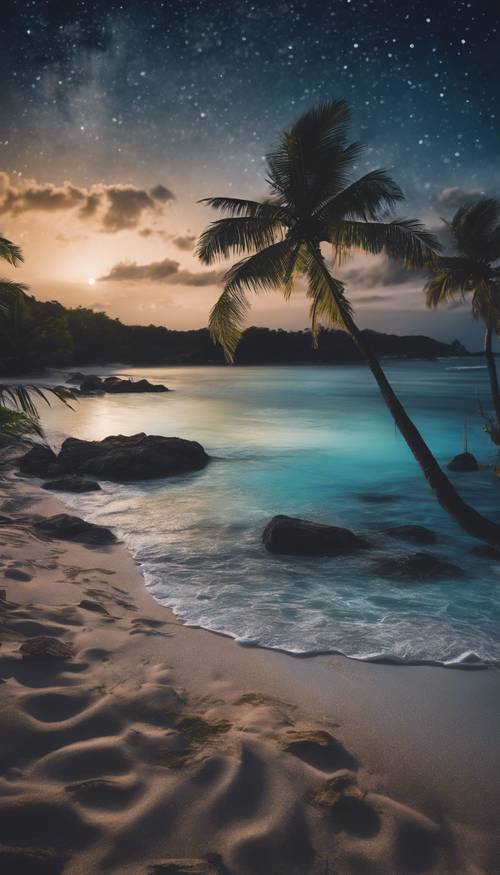Yıldızların aydınlattığı bir gökyüzünün altında Karayip plajının gece yarısı manzarası.