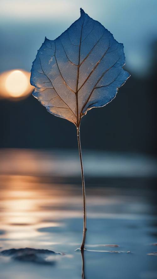 Une feuille bleue solitaire tombant doucement sur un lac cristallin au crépuscule.