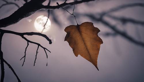 Silueta etérea de una sola hoja marrón que cuelga suelta de una vieja rama de árbol contra una noche brumosa iluminada por la luna.