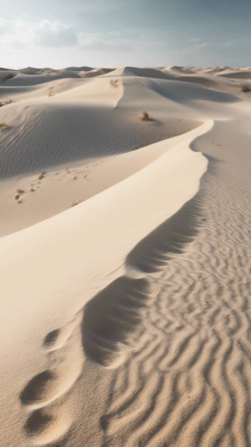 Uma grande angular para obter o deserto de areia branca texturizada com partículas de areia sopradas pelo vento.