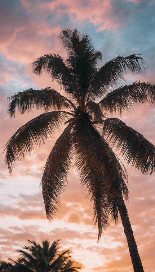 Одинокая высокая белая пальма на фоне яркого заката.