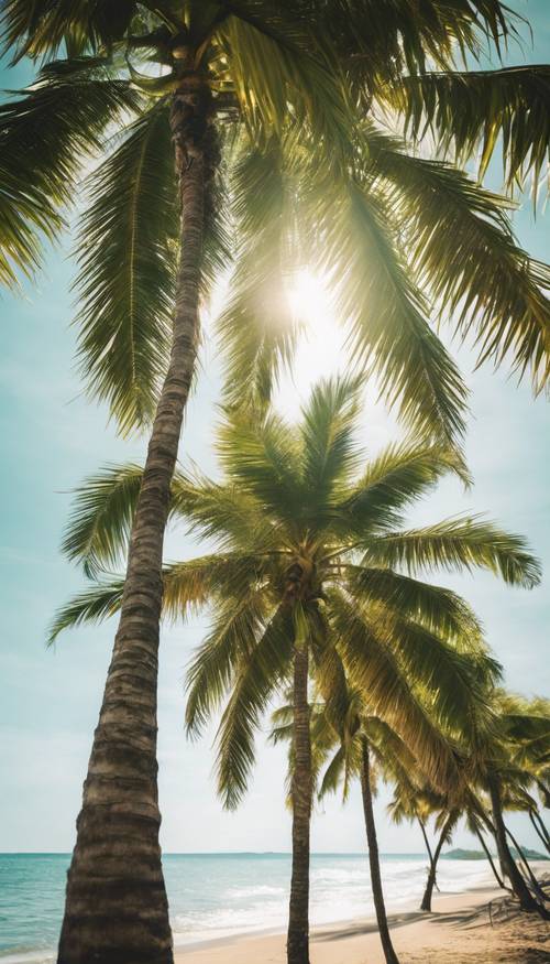 Pohon palem hijau cerah berdiri tegak di pantai tropis yang cerah.