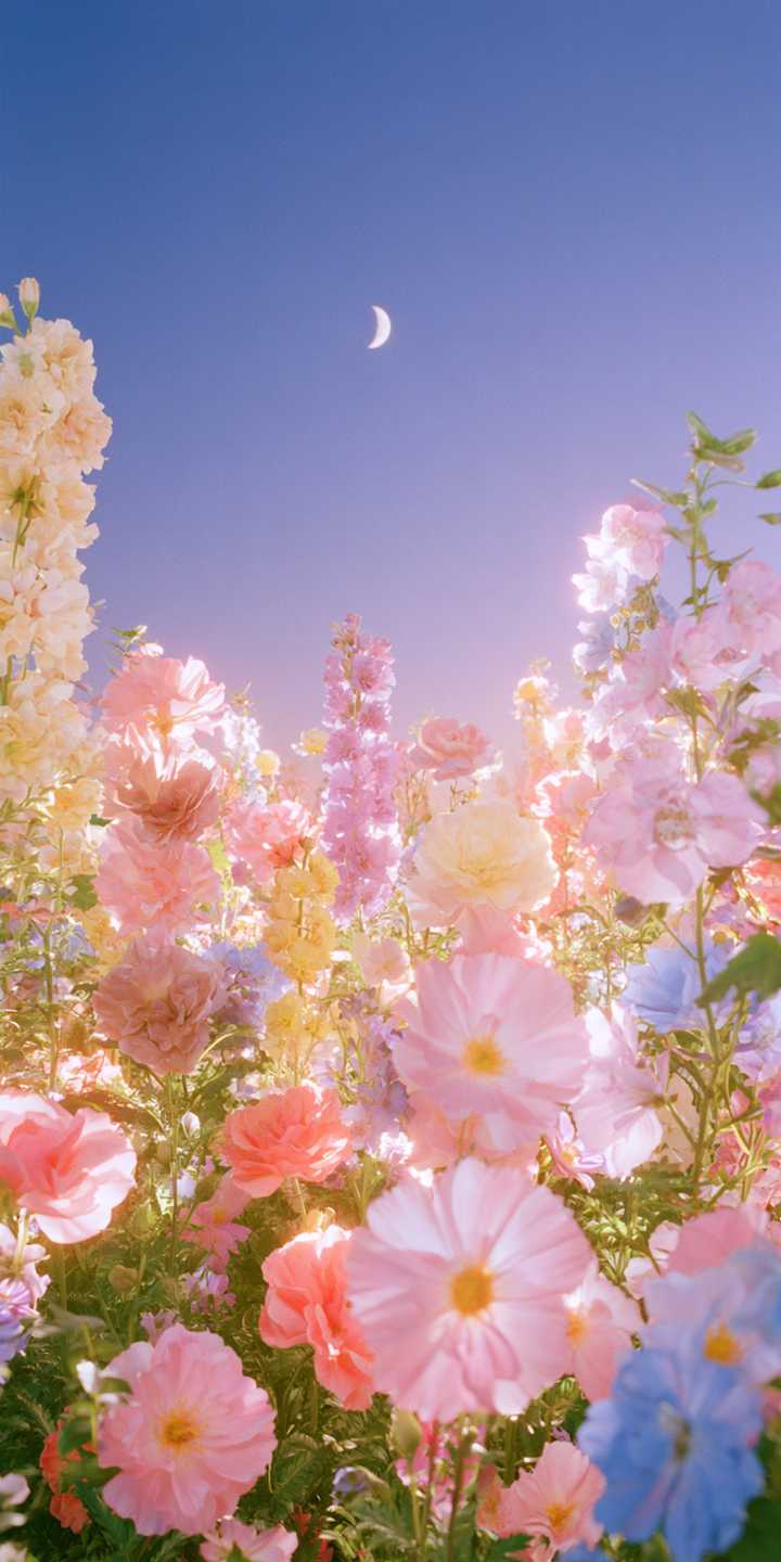 download image