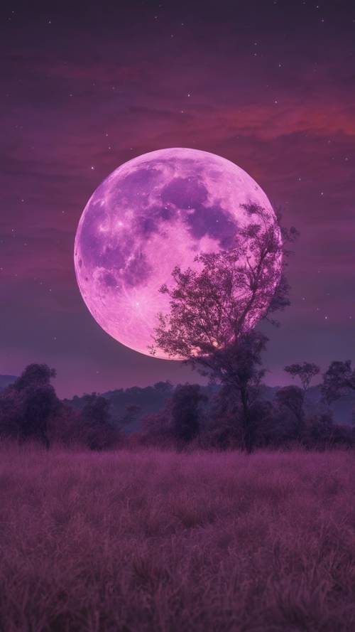 一輪巨大的豐收月亮在紫色的暮色天空中升起，它的隕石坑錯綜複雜、栩栩如生。