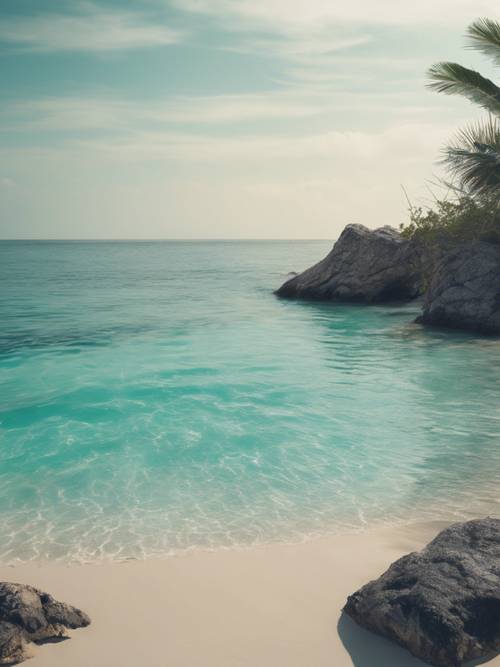 Des eaux turquoise calmes clapotant sur le rivage sablonneux immaculé d&#39;une plage tropicale cachée.