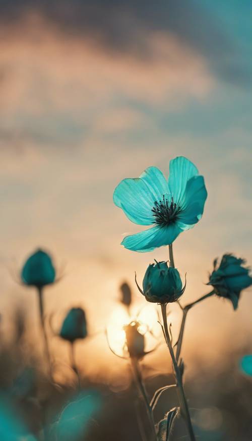 Uma flor turquesa balançando na brisa suave contra um pôr do sol como pano de fundo.
