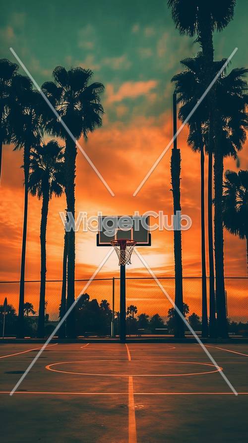 Boisko do koszykówki o zachodzie słońca pod wysokimi palmami