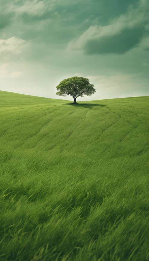 Одинокое дерево величественно стоит посреди пышной зеленой равнины.