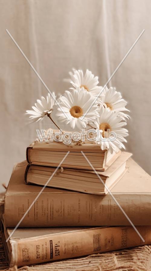 Gänseblümchen auf alten Büchern für eine gemütliche Leseecke