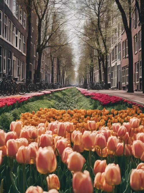 Beco em Amsterdã com vista panorâmica de um canal repleto de tulipas florescendo.