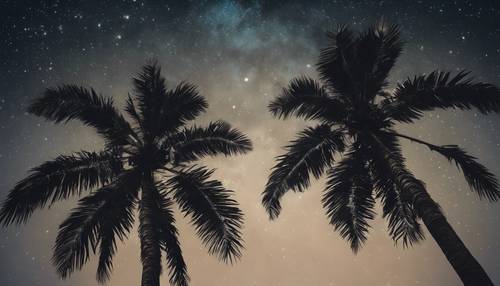 Yıldızlı gece gökyüzünün arka planına karşı yükselen, koyu renkli bir palmiye ağacının etkileyici görüntüsü.