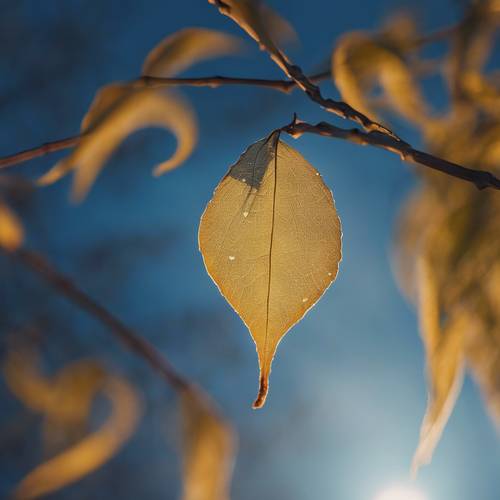 在燦爛的藍色月亮下，柳樹上的一片被風吹動的葉子。