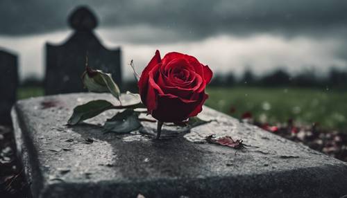 An old Gothic gravestone with a single red rose clung to it under a stormy sky.