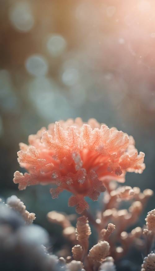 Magiczna ilustracja koralowego kwiatu promieniującego delikatnym światłem.