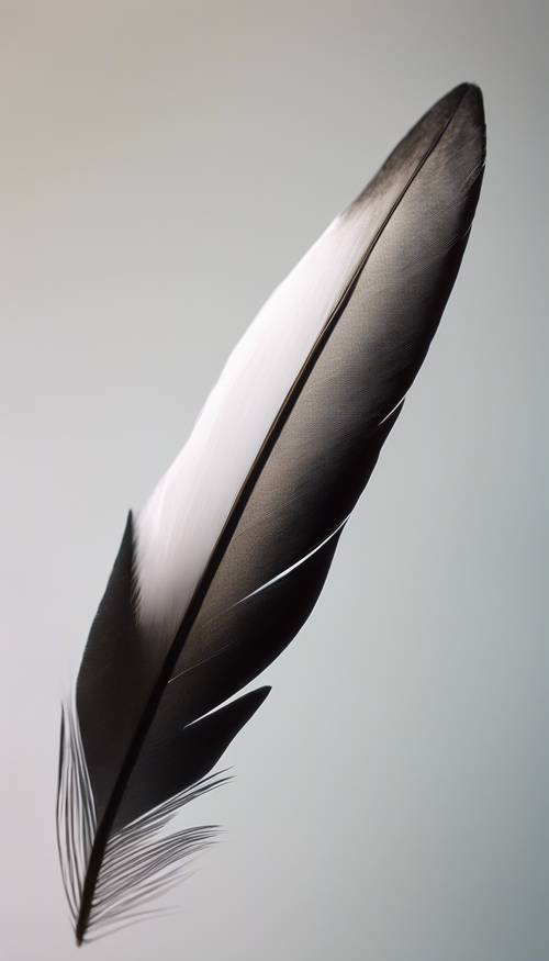 Visualisasikan efek ombre yang menunjukkan transisi dari bulu hitam di ujung sayap burung menjadi putih di pangkalnya.