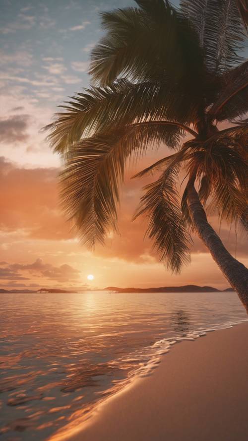 Une vue en soirée d&#39;une île tropicale, avec un coucher de soleil orange profond se reflétant sur la mer calme.
