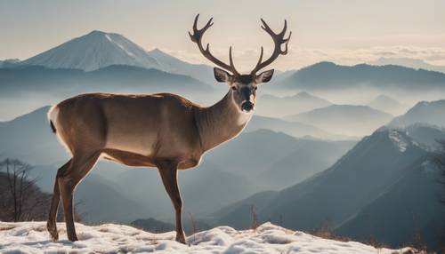Deer grazing peacefully before the grand vista of a towering Japanese mountain.