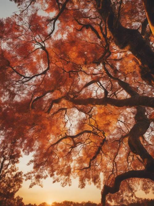 Matahari terbenam di musim gugur membakar pepohonan beraneka warna.