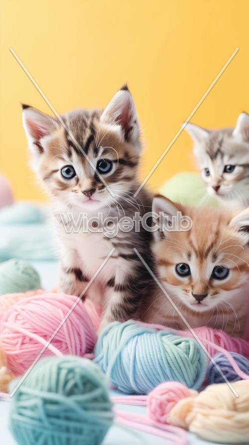 다채로운 털실 공을 가지고 있는 귀여운 새끼 고양이