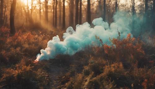 An imaginatively colorful smoke-screen hiding a mystical woodland at sunrise.
