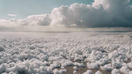 An aerial view of a seashore covered by a thick layer of cotton-like white clouds.