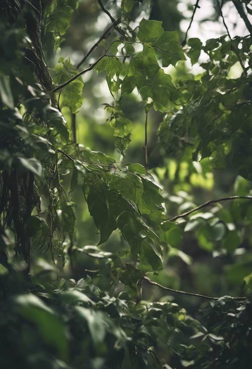 A jungle scenery with the focus on a strong vine swinging in the wind.