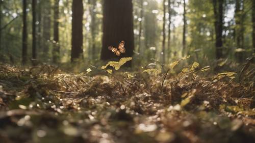 In the heart of an old forest, aesthetic quotes made by patterns in a butterfly swarm.